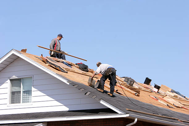 Best Sheet Metal Roofing  in Mathews, VA